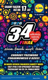 Lidl gazetka Strona 17