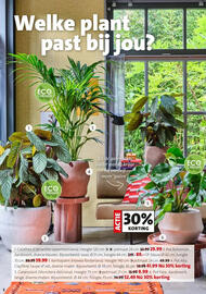 Intratuin folder week 1 Pagina 2