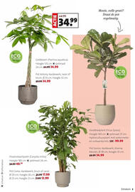 Intratuin folder week 1 Pagina 3