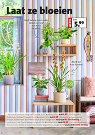 Intratuin folder week 1 Pagina 4