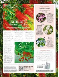 Bunnings catalogue Page 12