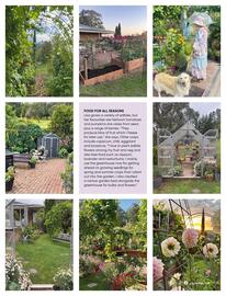 Bunnings catalogue Page 29