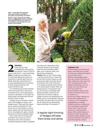 Bunnings catalogue Page 41