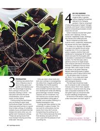 Bunnings catalogue Page 42