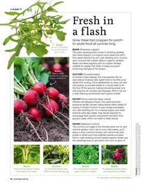 Bunnings catalogue Page 46