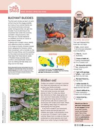 Bunnings catalogue Page 61