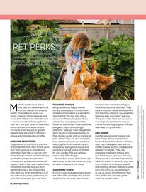 Bunnings catalogue Page 62