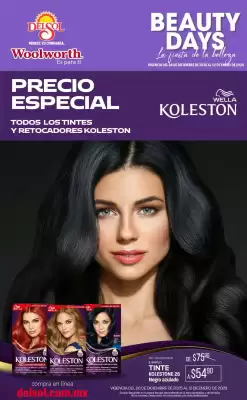 Catálogo Woolworth (válido hasta 12-01)