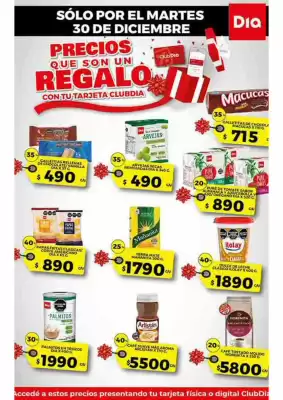 Folleto Supermercados DIA (válido hasta 30-12)