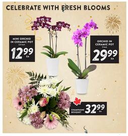 Nesters Market flyer Page 4