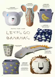 Rice catalogue Page 42