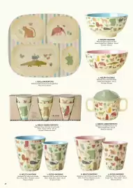 Rice catalogue Page 50