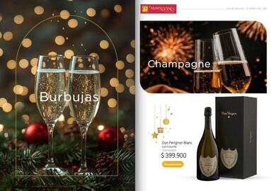 Catálogo El Mundo del Vino Página 24