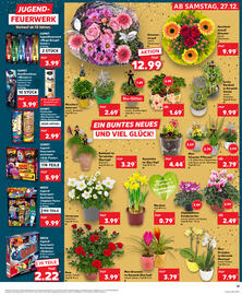 Kaufland DE tilbudsavis Side 13