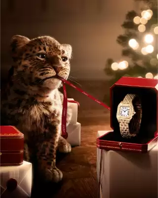 Catálogo Joyería Intercontinental (válido hasta 31-12)