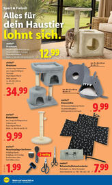 Lidl Flugblatt woche 1 Seite 20