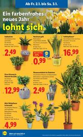 Lidl Flugblatt woche 1 Seite 25