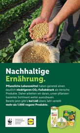 Lidl Flugblatt woche 1 Seite 45