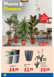 Lidl leaflet week 1 Page 22