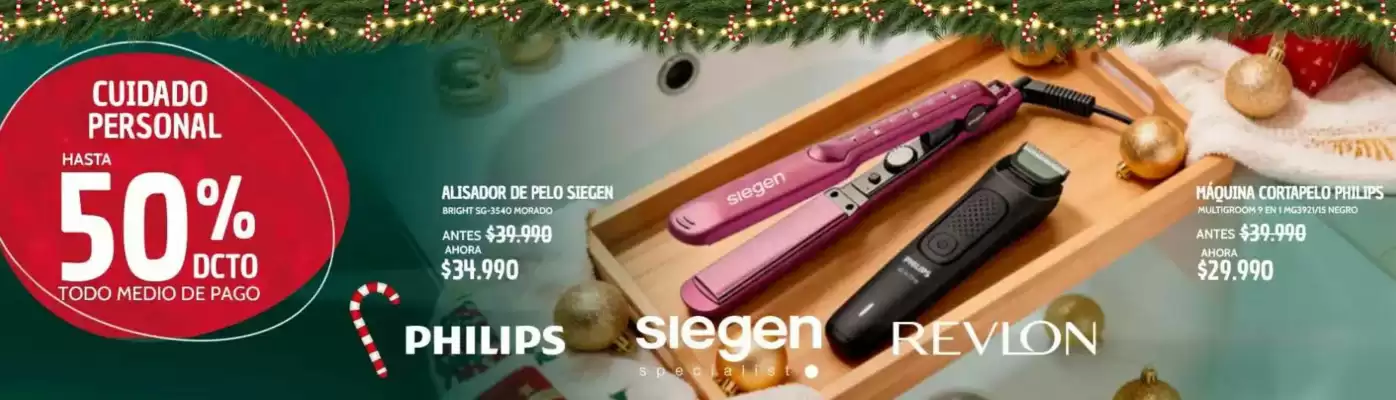 Catálogo Dimarsa (válido hasta 27-12)