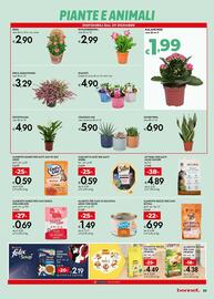 Volantino Bennet Pagina 23