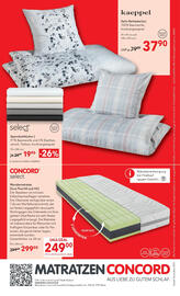 Matratzen Concord Prospekt Seite 8