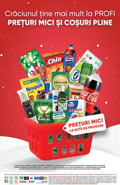 Catalog PROFI Pagină 7