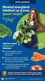 Lidl akciós újság hét 1 Oldal 10