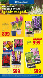 Lidl akciós újság hét 1 Oldal 21