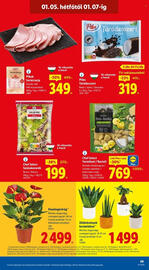Lidl akciós újság hét 1 Oldal 49