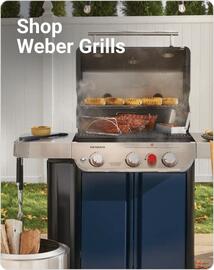 Ace Hardware flyer week 52 Page 12