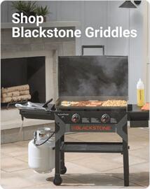 Ace Hardware flyer week 52 Page 14