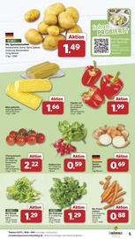 Famila Nord West Prospekt woche 1 Seite 5