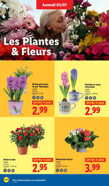 Catalogue Lidl page 28