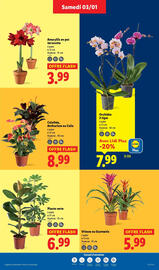 Catalogue Lidl page 29