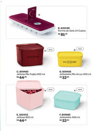 Catálogo Tupperware Página 33