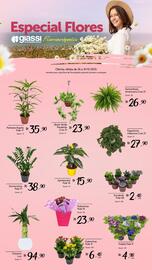 Encarte Giassi Supermercados Página 2