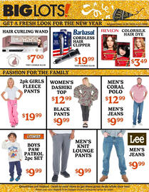 Big Lots weekly ad week 52 Page 3