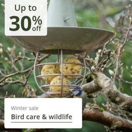 Crocus leaflet Page 14