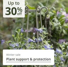 Crocus leaflet Page 15