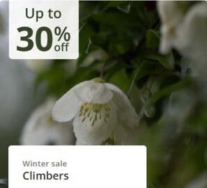 Crocus leaflet Page 3