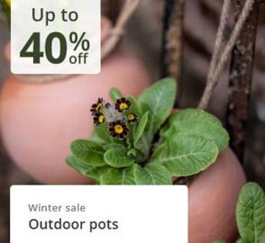 Crocus leaflet Page 4