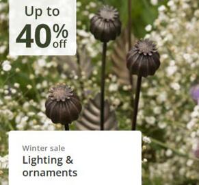 Crocus leaflet Page 5