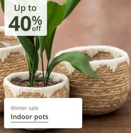 Crocus leaflet Page 8