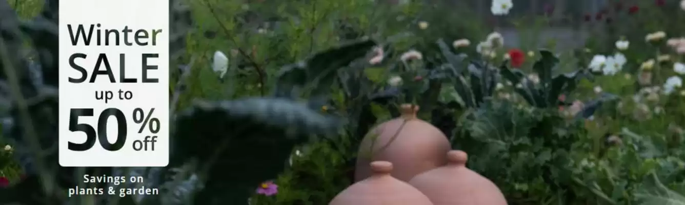 Crocus leaflet (valid until 13-01)