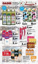 Folleto Gadis Página 17