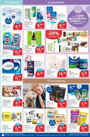 Budni Prospekt woche 2 Seite 5