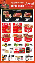 Folleto Arteli Página 1