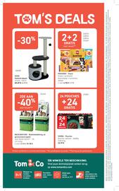 Tom&Co folder Pagina 4