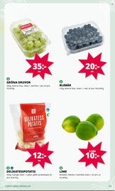 Tempo reklamblad Sida 5